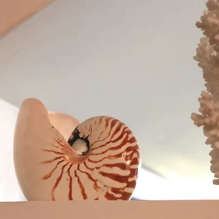 Hotel Nautilus Riccione