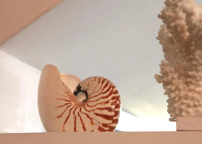 Hotel Nautilus Riccione