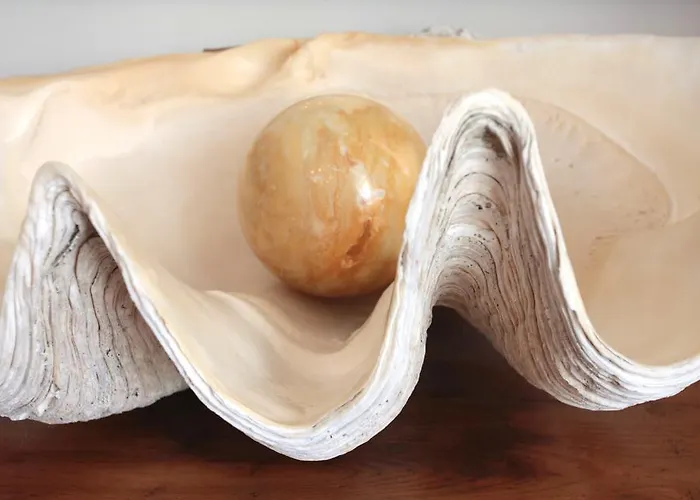 Nautilus * ריצ'יונה