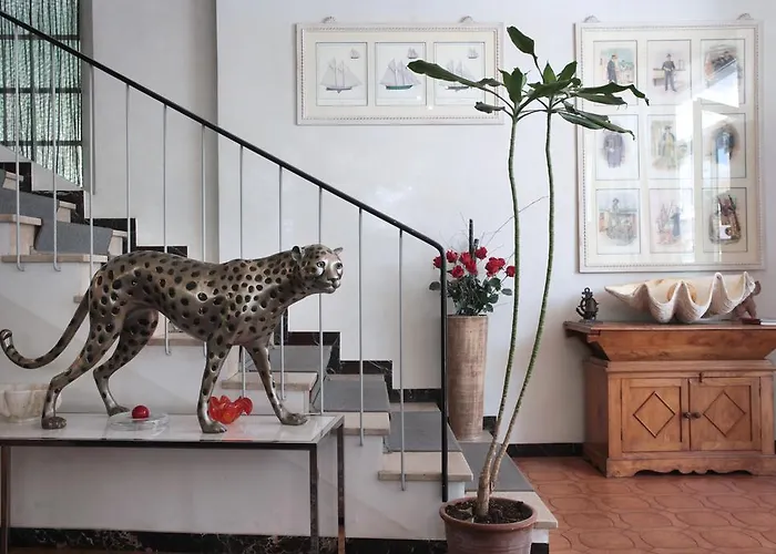 Nautilus * ריצ'יונה